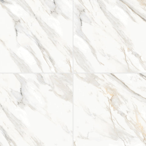 Bedrosians Shandar 24" X 24" Polished Arezzo Bianco